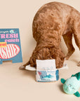 the furryfolks - Fish Express Nosework Toy