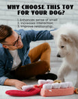 Nocciola - Nocciola Interactive Teeth Dog Toys – Enrichment Puzzle Funny Toys for Small to Large Dogs