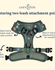 Lucy & Co. - Lucy & Co. x Parks Project Power to the Parks No-Pull Harness