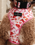Lucy & Co. - Howdy, Honey Reversible Harness