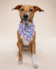 The Paws - Pop Dog Bandana