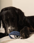 Lambwolf Collective - PICASSO//ENRICHMENT DOG TOY