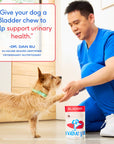 Native Pet - Cranberry Bladder Chews, Kidney & Urinary Supplement for Dog: 60ct