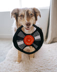 Lambwolf Collective - BARK TO BEAT //ENRICHMENT DOG TOY