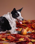 BARK Super Chewer Acornucopia Dog Toy Large
