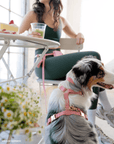 SUNNY TAILS - Perfect Pink 4-in-1 Convertible Hands Free Cloud Dog Leash: Wide