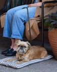 The Foggy Dog - Ticking Stripe Dog Travel Mat