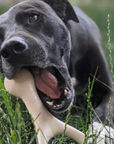 BetterBone Natural Dog Chews - VENISON Hard Density