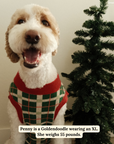 Lucy & Co. - Happy Howlidays Sweater