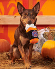 BARK Spooky Boo Brew Plush Dog Toy