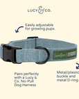Lucy & Co. - Lucy & Co. x Parks Project Adventures with Friends Collar