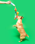 the furryfolks - Fishing Nosework & Tug Toy