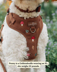 Lucy & Co. - Woodland Wonder Corduroy No-Pull Harness