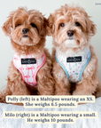 Lucy & Co. - Take a Bow Reversible Harness: S