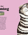 Catphabet : A Cat Alphabet
