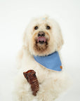 Winnie Lou - Bison Trachea Chews