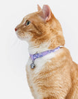 Wild One - Breakaway Cat Collar: XS • Kitten / Retro