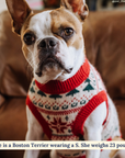 Lucy & Co. - The Let it Snow Sweater