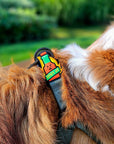 Jiby Dog Crew - Hot Sauce Dog Badge