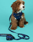 Lucy & Co. - Space Doodle Poop Bag Holder