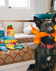 Play Pet Brands - Party Animal Collection 15pc set -FREE Merchandising Display