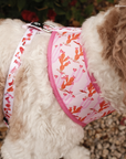Lucy & Co. - Howdy, Honey Reversible Harness