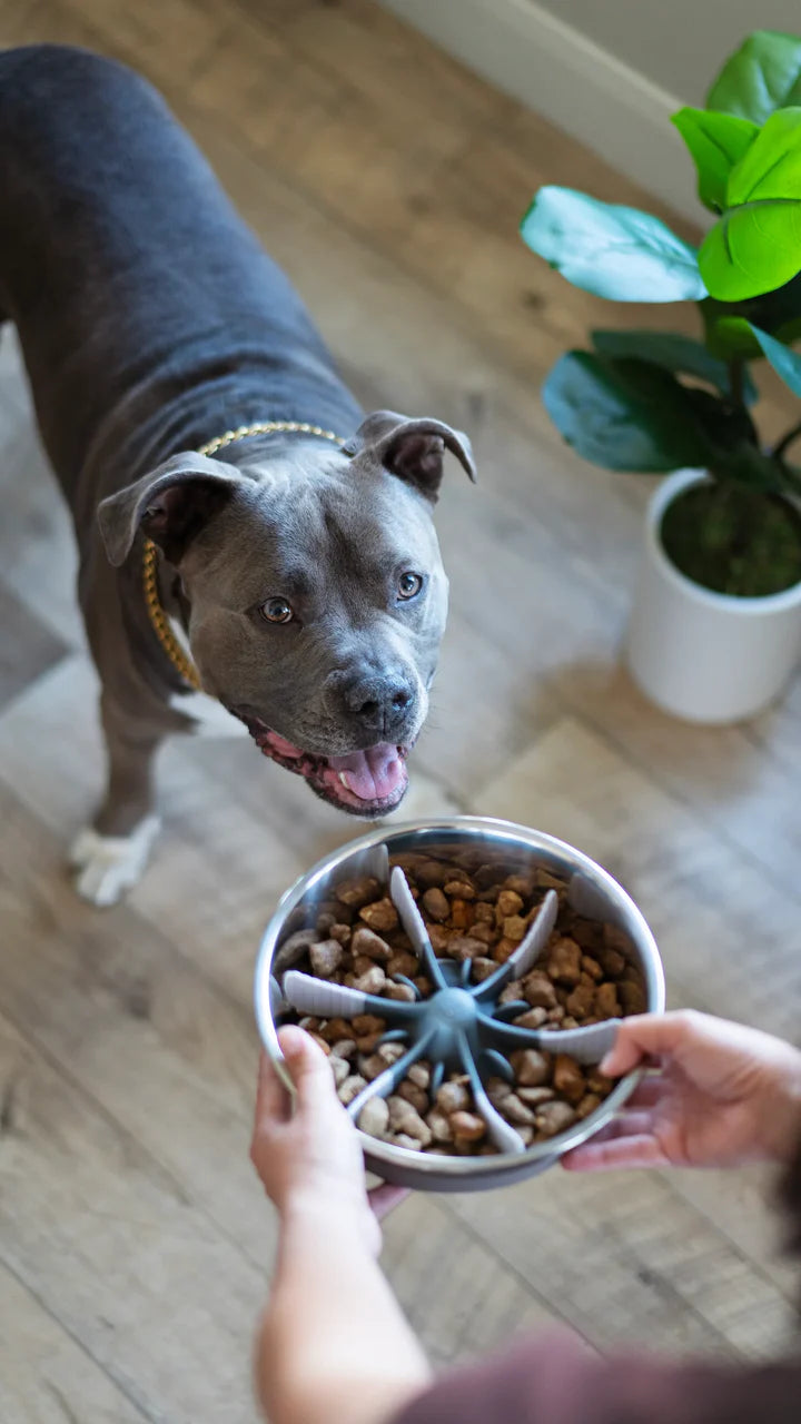 Messy Mutts Universal Slow Feeder Bowl Insert with Suction 7.5