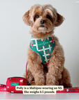 Lucy & Co. - Happy Howlidays Reversible Harness