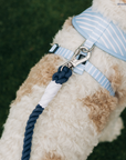 Lucy & Co. - Bowwow Wow! Reversible Harness: L