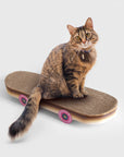 SUCK UK Ltd - USA - Cat Toy Scratch Skateboard - Cool carboard cat scratcher