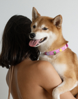 Furei Pets - Moodies Collar: Baby Pink