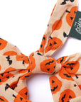 The Paws - Pupkin Halloween Dog Bandana