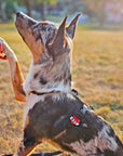 Jiby Dog Crew - Mom Tattoo Dog Badge