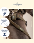 Lucy & Co. - Take a Hike Corduroy Leash