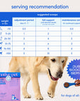 Native Pet - Native Pet GutWell Stress Support, Stress Relief & Calming
