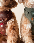 Lucy & Co. - Woodland Wonder Corduroy No-Pull Harness