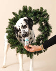 Polkadog - Holiday Mini Tube: Yappy Howlidays - Dog Treats