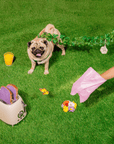 Spotted by Humphrey - Poopsy Daisy Dog Poop Bag Holder - Toe Beans (Pink)