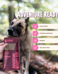 RYŌKEN INSTINCT - Bison Treat & Snack Bar for Active Dogs - Energy & Recovery