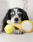 Lambwolf Collective - TENNIS POP // ENRICHMENT DOG TOY // Squeaky Ball Set