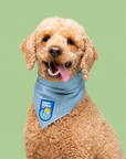 Scout's Honour Pty Ltd - Doggy Paddle Pro iron-on patch for dogs