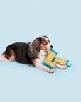 BARK Smelly Wellies