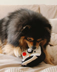 Lambwolf Collective - INSTANT CAMERA // ENRICHMENT DOG TOY