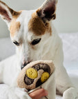 Lambwolf Collective - CREPE // ENRICHMENT DOG TOY
