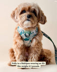 Lucy & Co. - Lucy & Co. x Parks Project Sequoia Seedlings No-Pull Harness