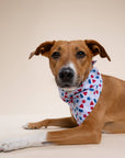 The Paws - Pop Dog Bandana