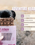 RYŌKEN INSTINCT - Lamb Treat & Snack Bar for Active Dogs - Energy & Recovery