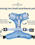 Lucy & Co. - Silly Goose No-Pull Harness