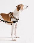 Zee.Dog - Bossa Banana | SofterWalk Harness: Large