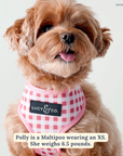 Lucy & Co. - Take a Bow Reversible Harness: S